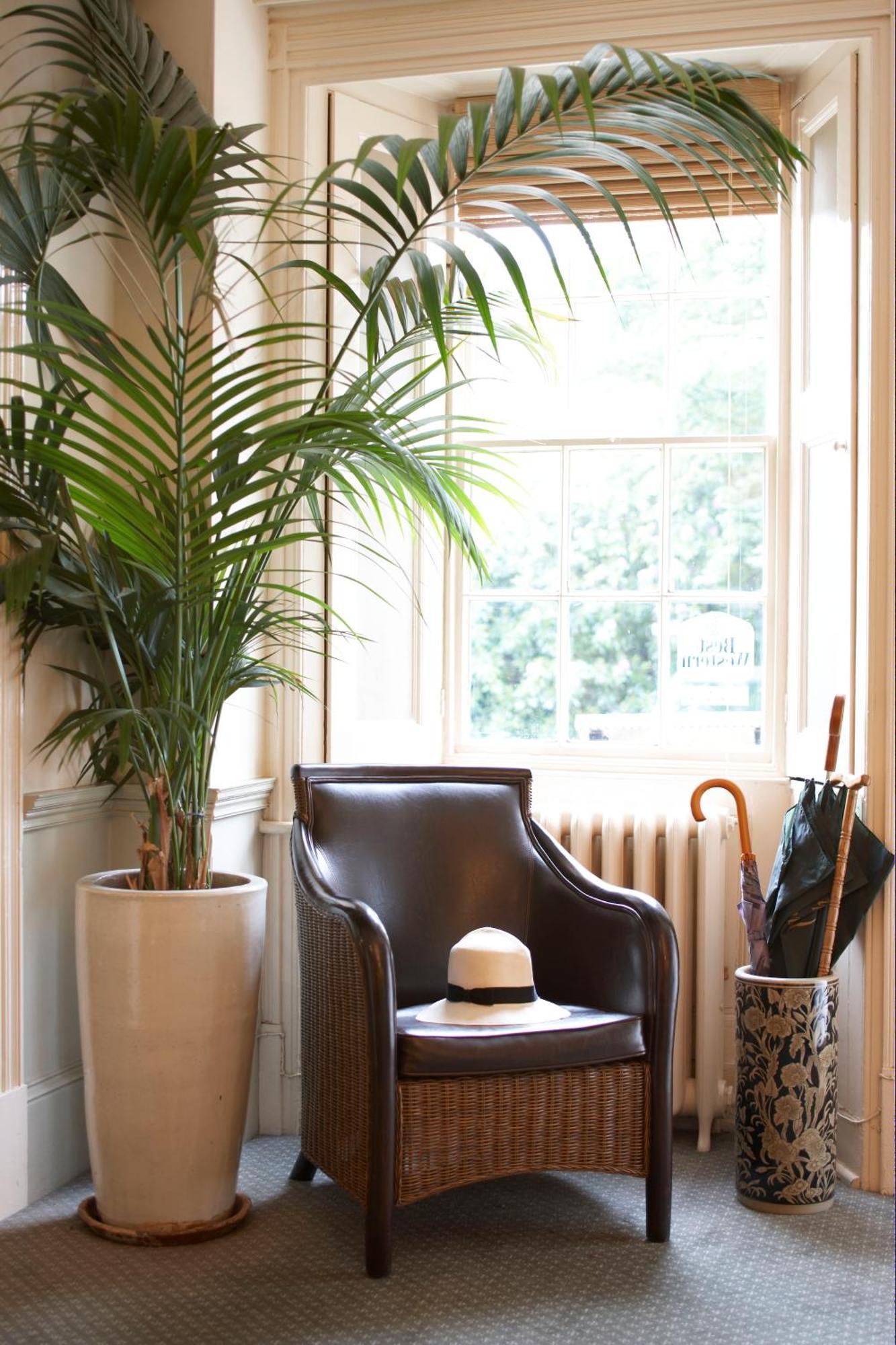 Flackley Ash Country House Hotel Peasmarsh Bagian luar foto